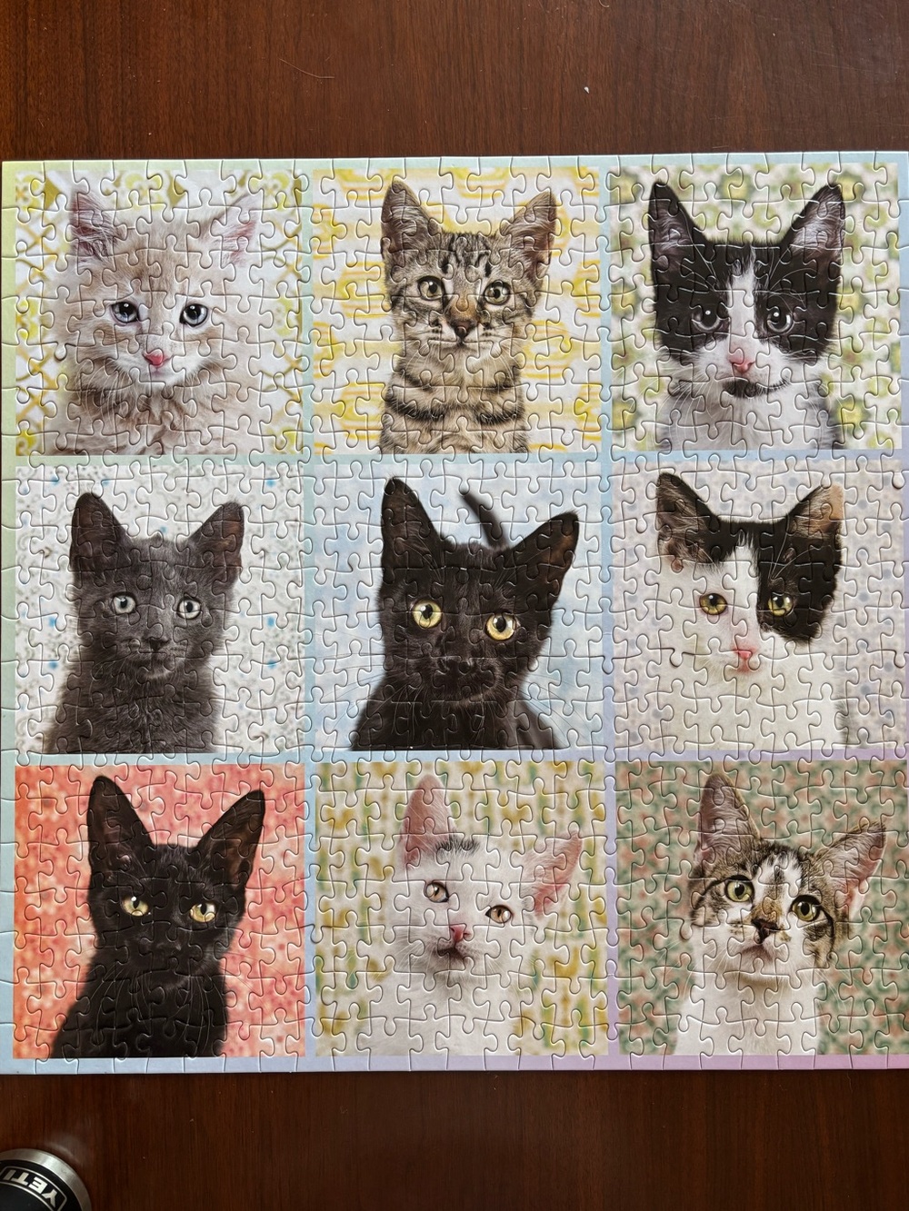 The Good Puzzle Co. by Galison Cat Portraits 500 Piece Puzzle